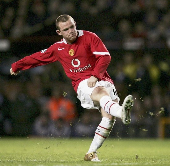 森林狼的核 森林狼的核